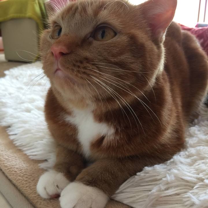 267be89f 1698 40e6 b17c fce0712ff7d3 1520208669384