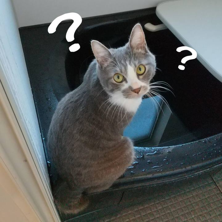 267c14ce ac04 4bd3 b7ba 954c6197be1b 1610575452323