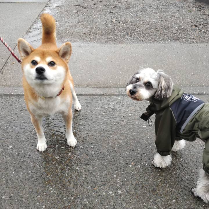 267c3284 ba7b 4ed0 b7d9 0990e42b3a2d 1729342050860