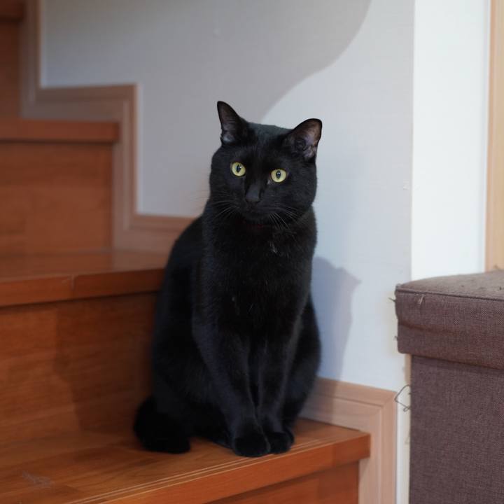 267c37c4 3988 4abc a6d4 09fd6c3b99e2 1632110663093