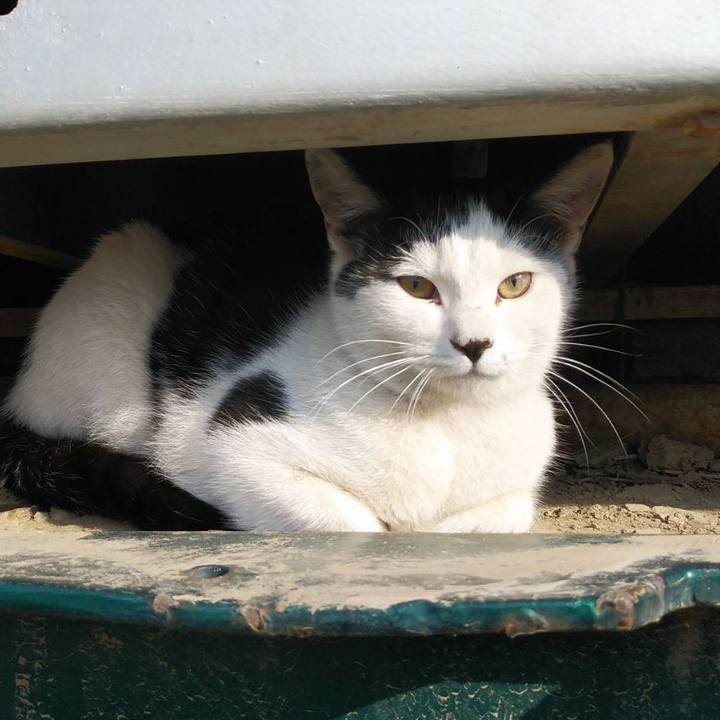 267c9844 699f 4af6 b249 e665189e10f1 1581638452871