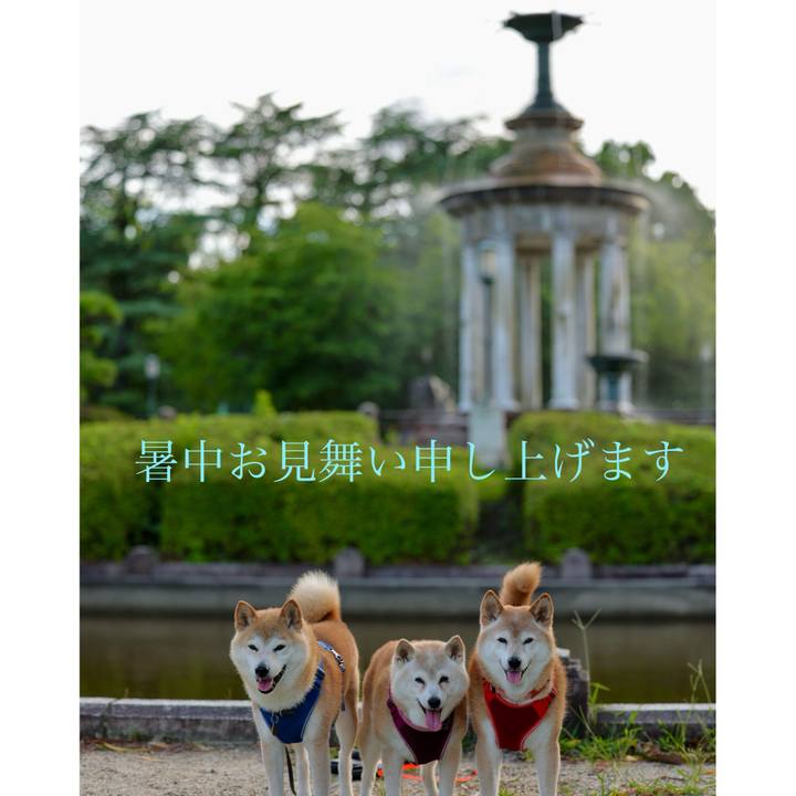 267c9a12 dbdf 4816 b48f 00f5fab4855e 1752844211962