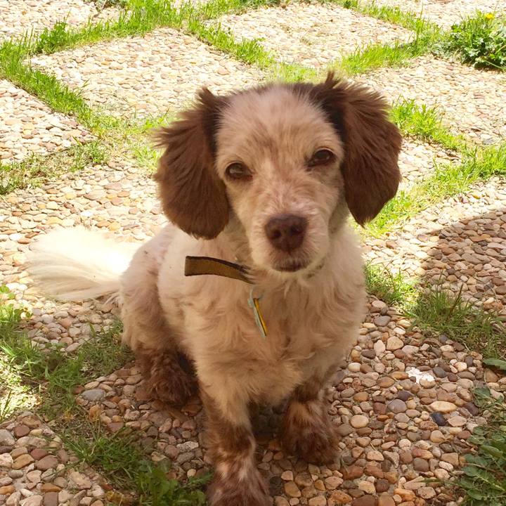 267ce628 ca31 42f8 9e37 65f0db0f2a6e 1524659958389