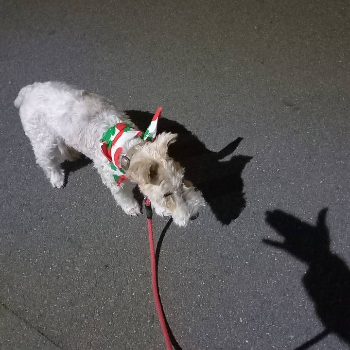 267cf21e 506f 468c 810d d545d910a53f 1623503555103