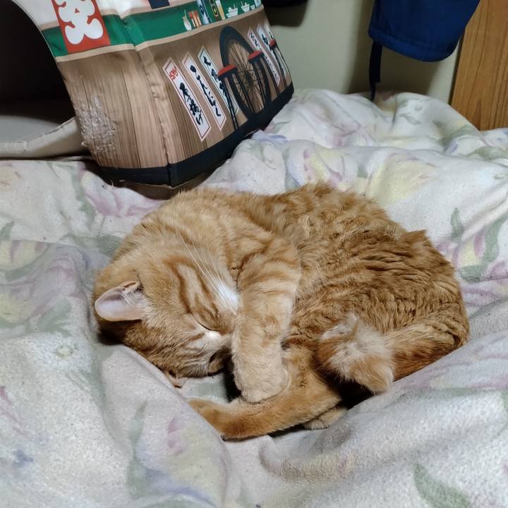 267d01b6 1f18 4a29 8045 ca03a759ddec 1680179008043