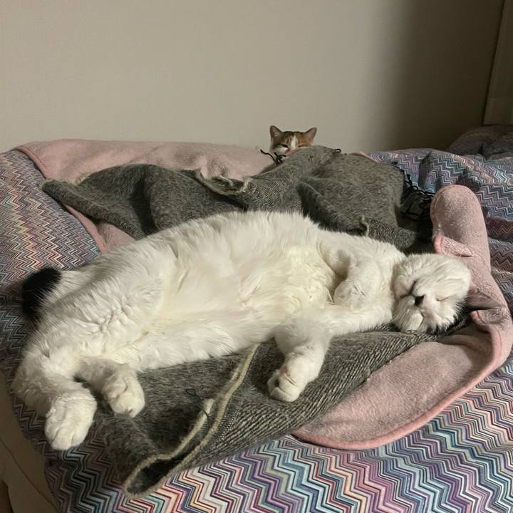 267d0b2d 785a 449a b865 940a3e3f0d4f 1675520278414