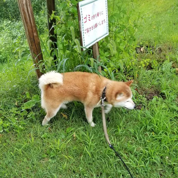 267d22db f609 4a3d 96f7 3855e20932af 1660975630405