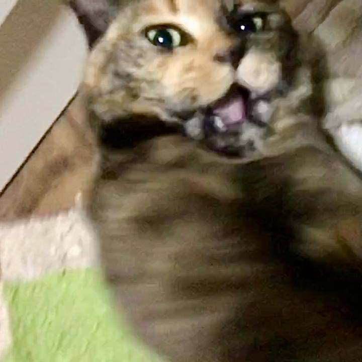 267d9d04 56ea 472d 90e0 617b7e47d842 1741554360350