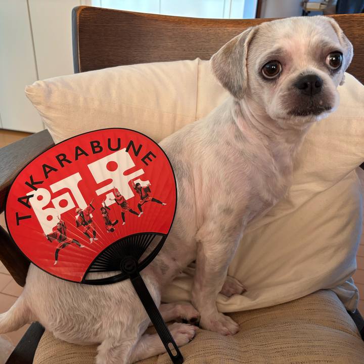 267da9a9 a543 4d5f a53a 7197bb223398 1755639977758