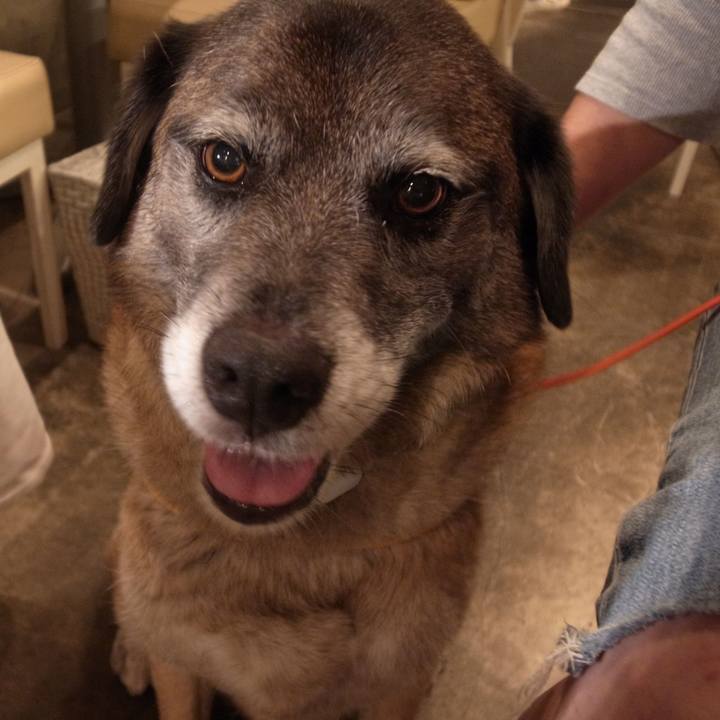 267dfb38 25b7 4a42 a394 30ce8fd21c8a 1586567903629