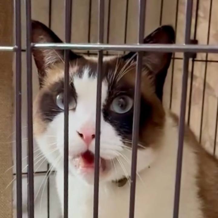 267e143f e024 4bc1 9d4a e808eb405665 1751942646510