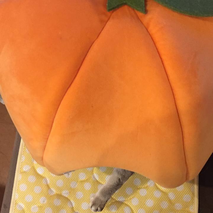 267e29b1 3bf3 4b0c 9c17 1fef895d5c4f 1518772786440