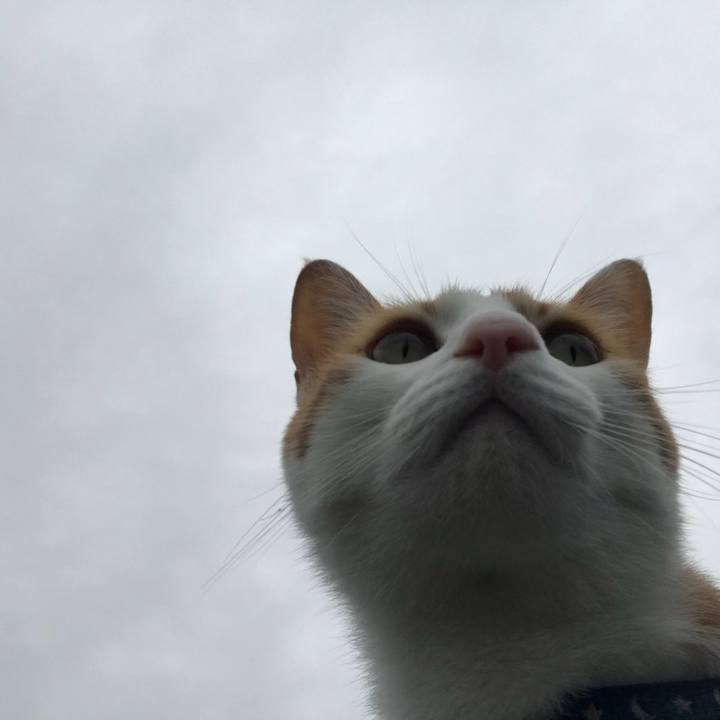 267e4692 40bf 459c 9e02 51828ac3def9 1507857411772