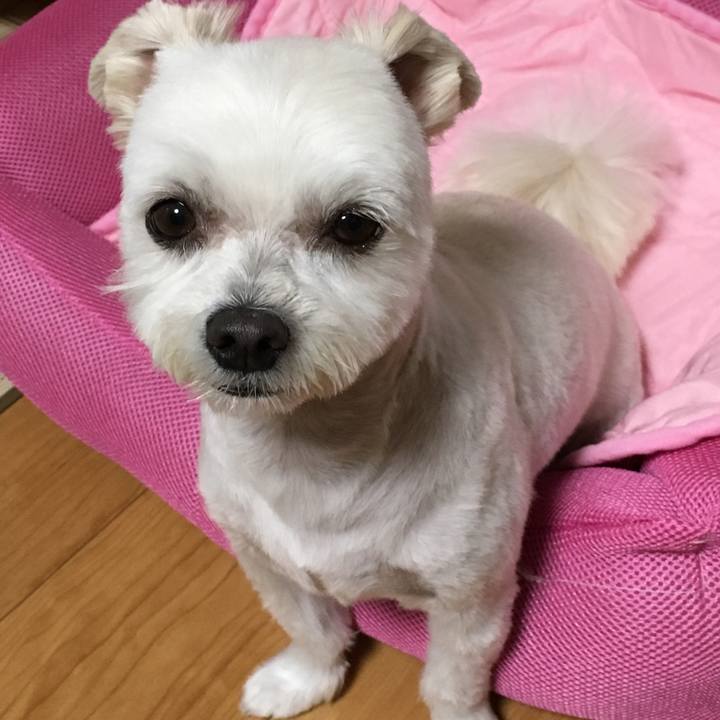 267e7665 c155 489f 882e 3ab3612ee0fe 1528781209724