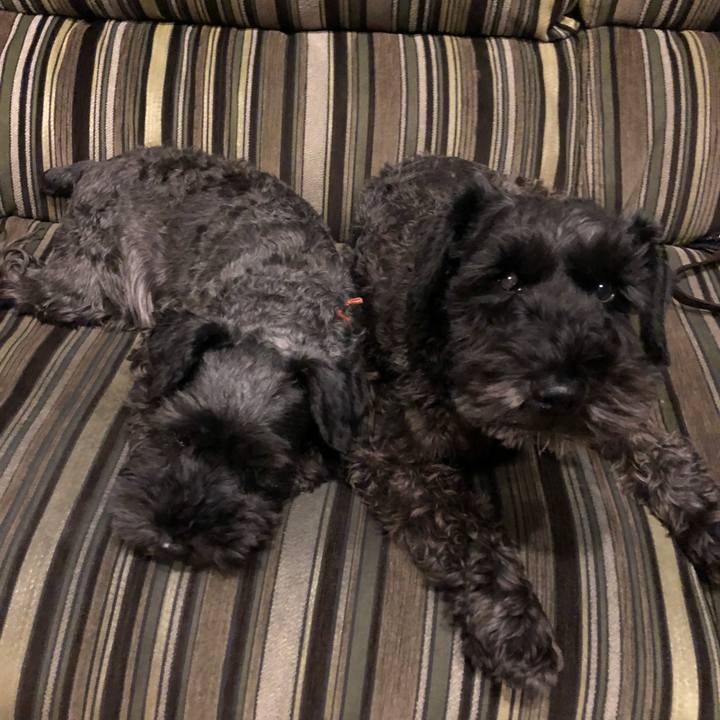 267e8d34 3c66 4d98 b6bf 402cecfc75b6 1540933467493