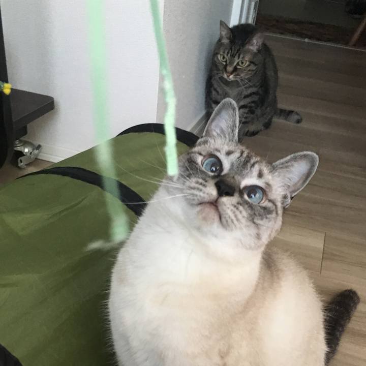 267e8e17 a76b 4b4b bf1e 26ace6dc2f9d 1592353193086