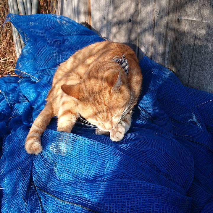 267ecfd8 1a2c 4930 9568 2442e52534a1 1573367037521