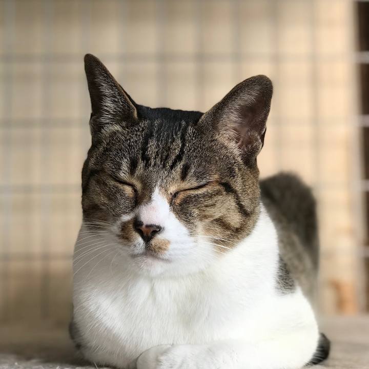 267ed9f5 5979 4c91 b08e 78a38544bc15 1516064582842