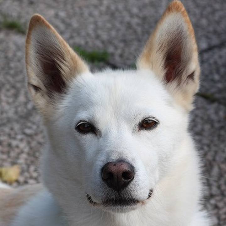 267edd2f e059 4c40 a769 eeaf3da997db 1559649408716