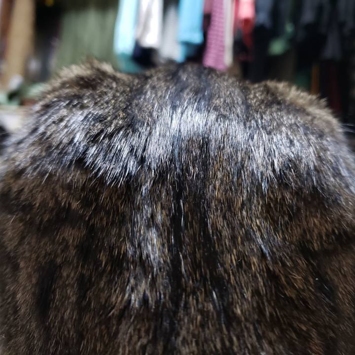 267f3177 e353 4f1c 9b1f 39faa11f7012 1543494276795