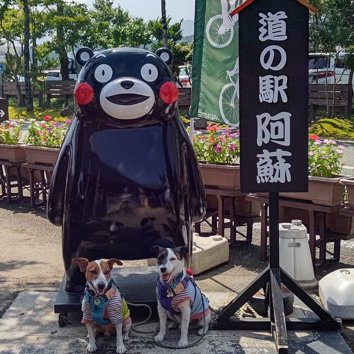 267f9226 1629 4afc a759 a30f226fc04d 1691899091584