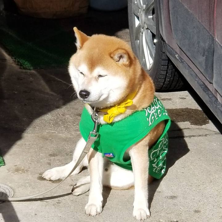 267f9b54 58d4 4bf2 940e 249fa758a776 1518164113546