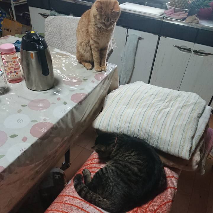 267fb2fb bd03 4651 a83f 8130581292fb 1649039495413