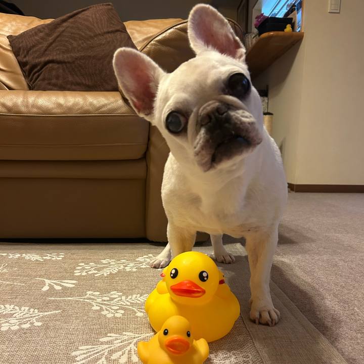 267fb72e ad75 4dca bbc7 ae3d66f53509 1755855283202