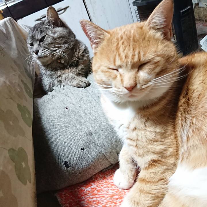 267fd33b e313 4e73 b926 bb67c9218d09 1577771249291