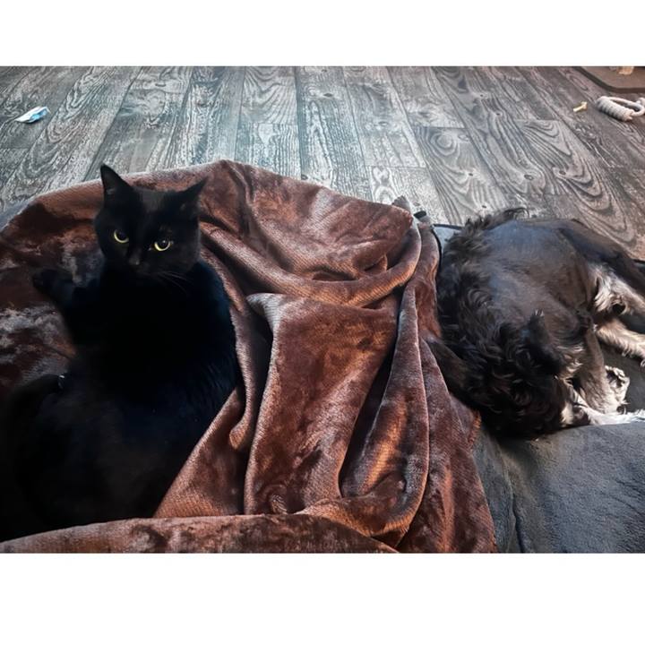 2680294f faec 4c2f 9458 1c80494bd5bb 1766232481702