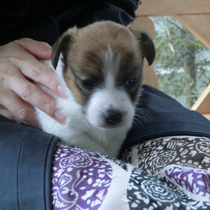 26804479 9737 4d95 904a 8630c0cc76c0 1528036606388