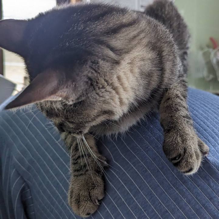 268079d7 9d36 4296 a48f 21848ac909cf 1711943288410