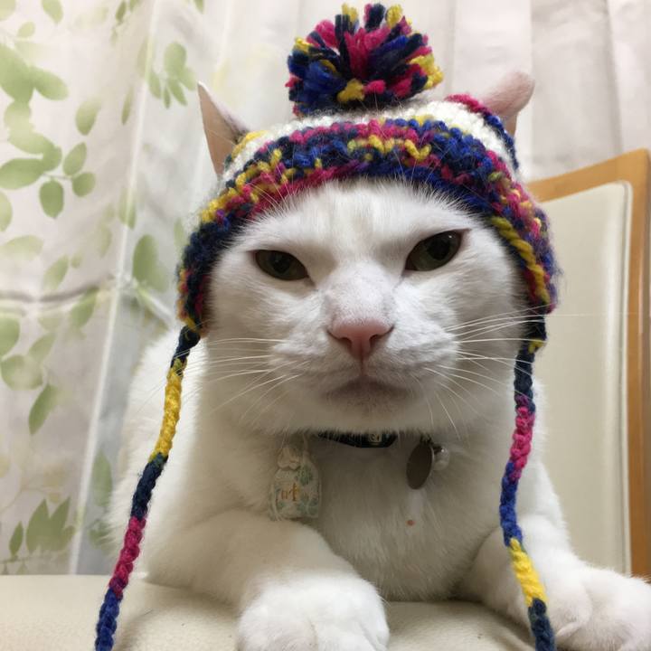 26807b76 dd77 4ec6 b67a 8fe4511fc8bb 1518871677707