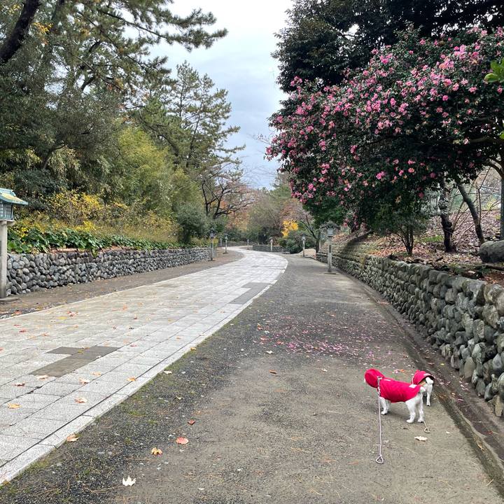 26809031 7cd7 4666 afd9 8d9f8428df47 1669768436484