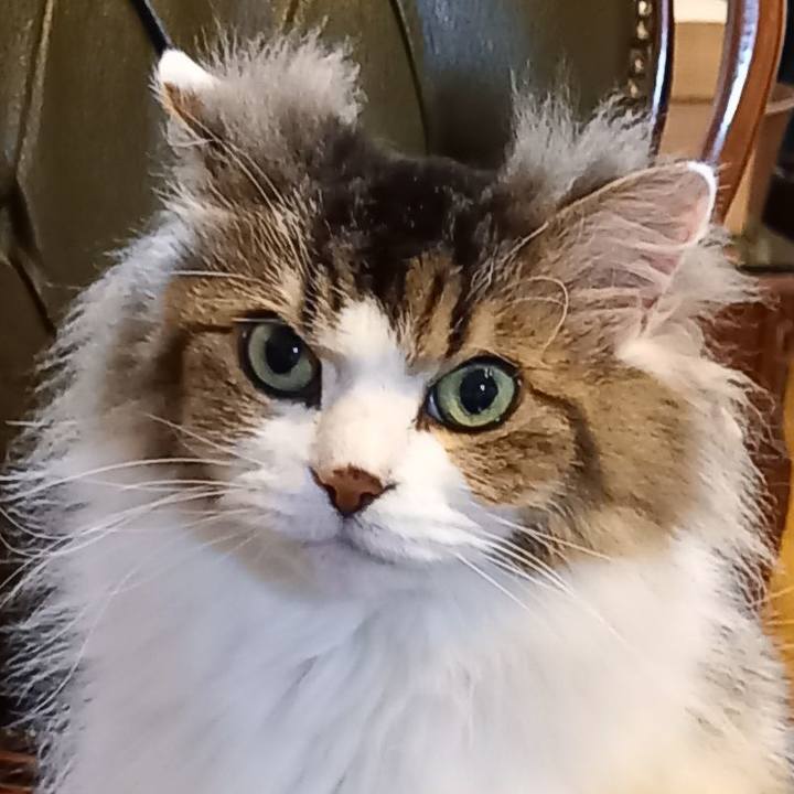 26809450 fa67 4ddb 88aa 17834e74cadf 1650081788832