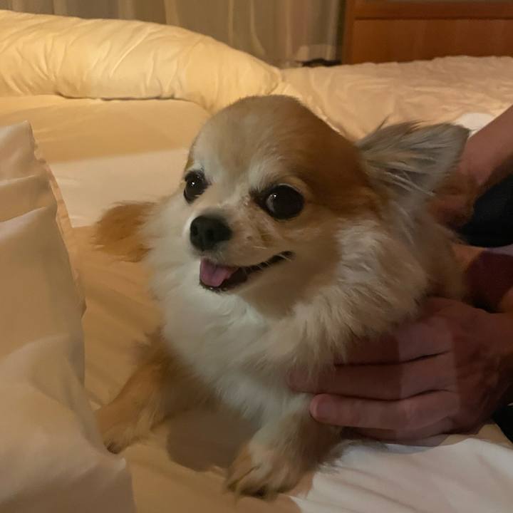 26809c97 5f4a 405e a024 e5dbcba9308e 1756682790083