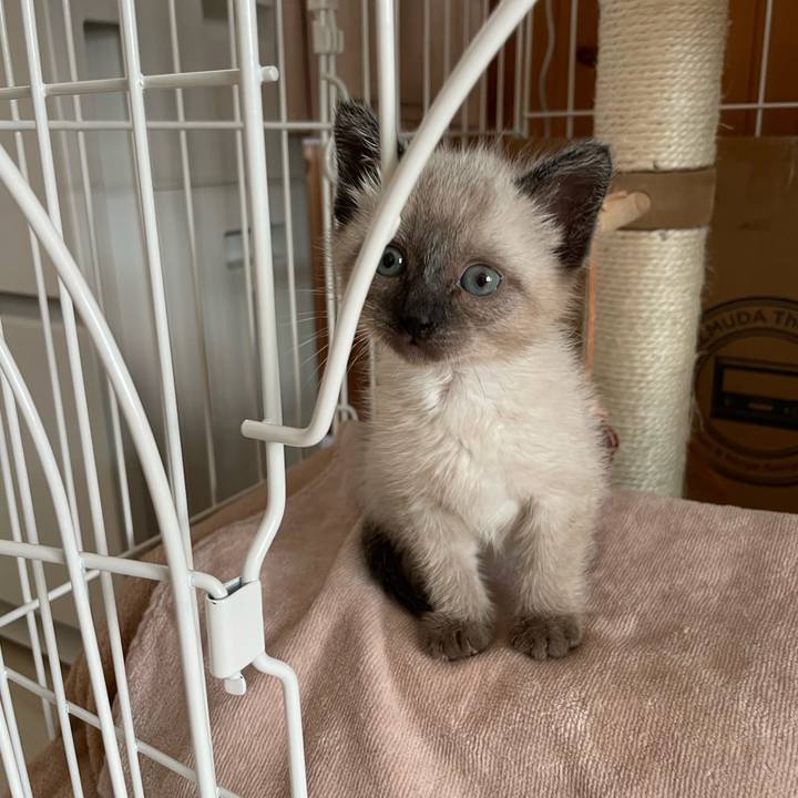 2680a406 8948 40ec bb4c 7bb9ce1138e2 1685909194868