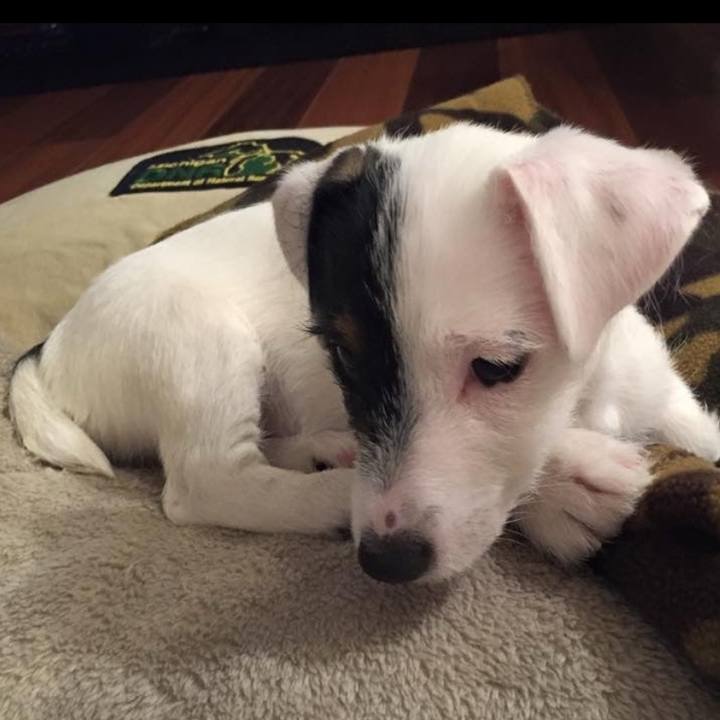 2680a4f1 1b00 4be7 886b 11de4a244739 1732058778422