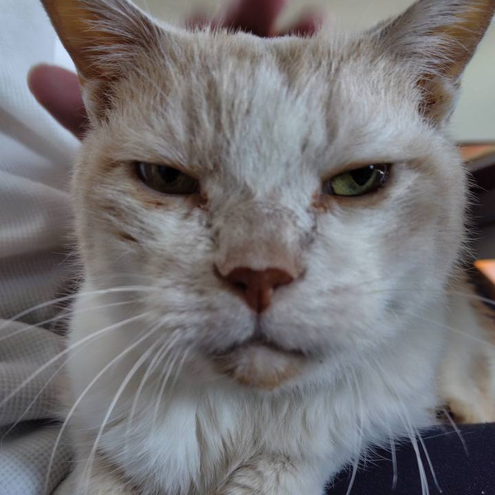 2680a74b e025 4cd8 89d3 16c9dfd5d227 1767139683973