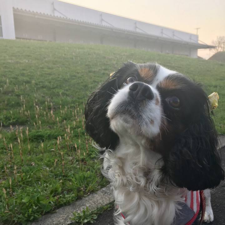 2680ae34 d304 43ec 891e e623a19c4482 1524213660919