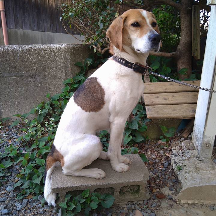 2680ecbd 60ac 4871 9ef7 2f1d969d8bb7 1650364373671