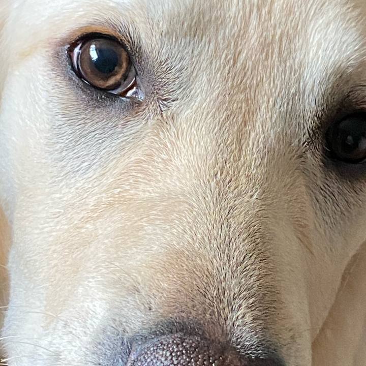 268101a6 4d6a 4250 9f95 9c27899746ac 1619821569336