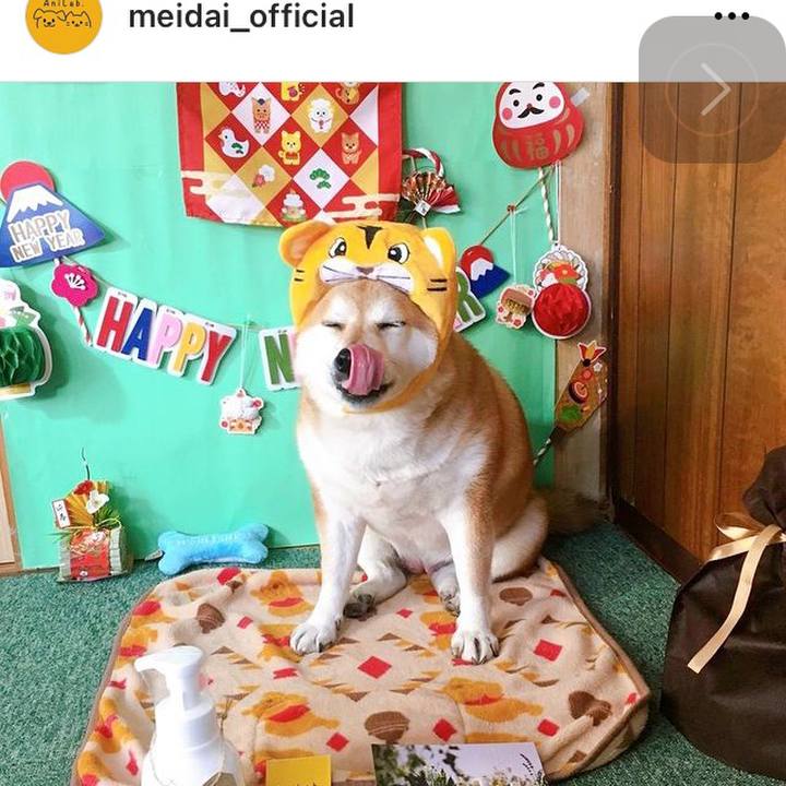 268113c9 4ecf 4211 955f 8bb967f52bdd 1643627418278