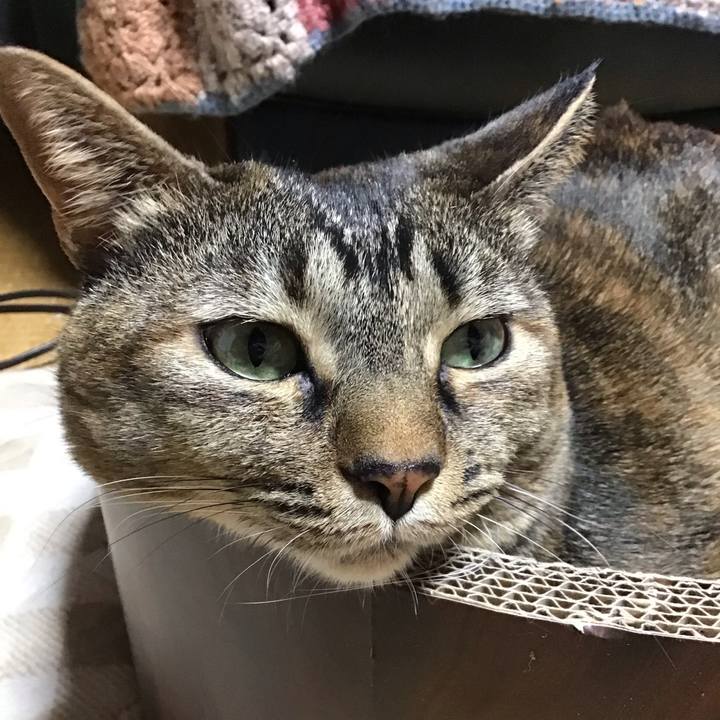 268124d3 7d8d 4617 ad51 02af9d48e4c6 1703325353549