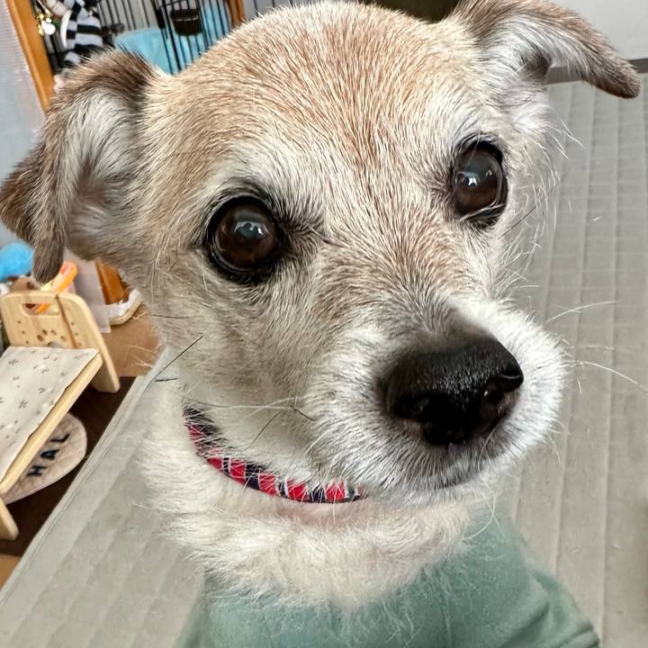 268149a7 f9bf 4485 8a5d ecc8d291748c 1738122037457