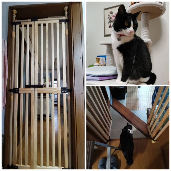 26815651 9b9d 4115 8f78 8732227e4079 1611399319595