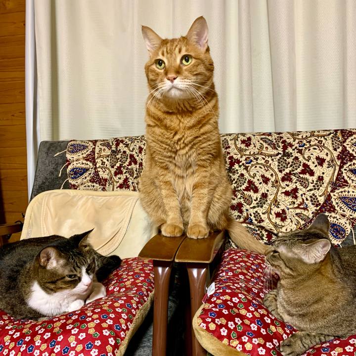 26815d36 22dc 4abc b895 7f97b3c9f83b 1605278109745