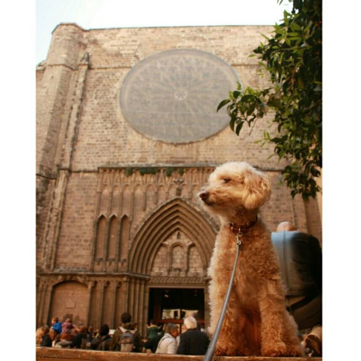 26816876 7eb2 40b6 9d66 e8c3b17d92c9 1552977693060