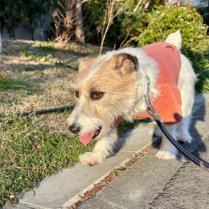 2681d42a 92a3 44ad 8b3f 1718a8f9c61a 1742505628377