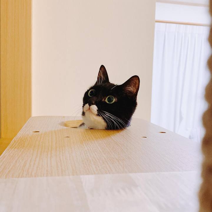 2681e58f c94a 4fff 85b4 c5ae5dcd9b83 1551946772892